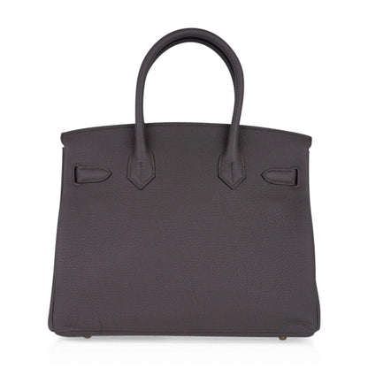 Birkin 30 Bag Etain Gray Coveted Gold Hardware Togo