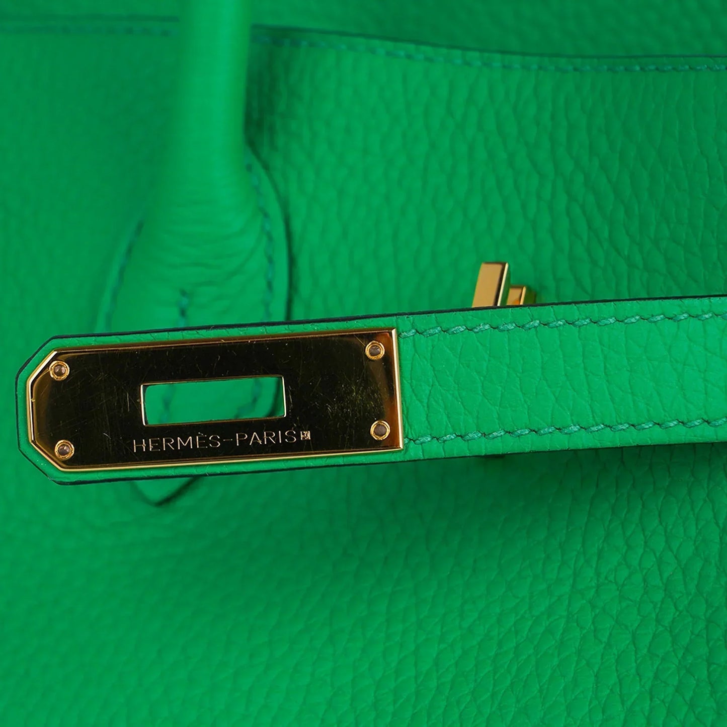 Birkin 35 Bag Bamboo Togo Leather with Gold Hardware