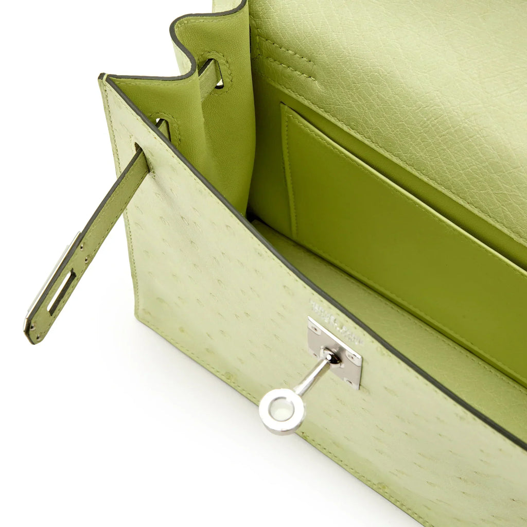 Jaune Bourgeon Ostrich Kelly Danse II Palladium Hardware