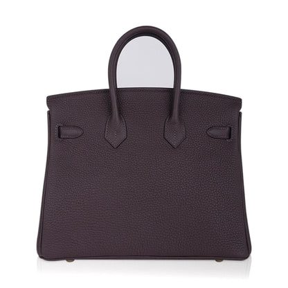 Birkin 25 Bag Chocolat Gold Hardware Togo Leather