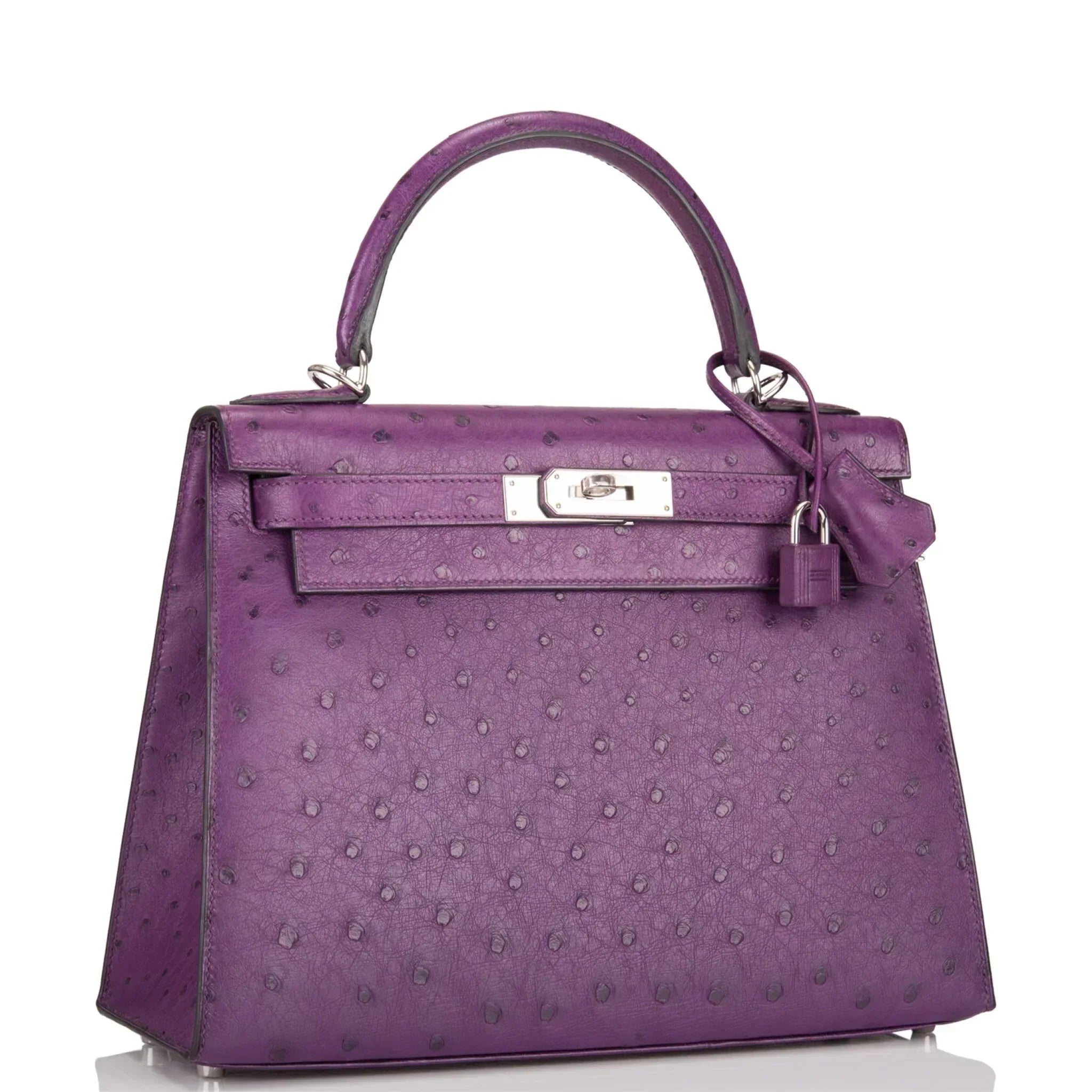 Kelly Violine Sellier Ostrich with Palladium Hardware
