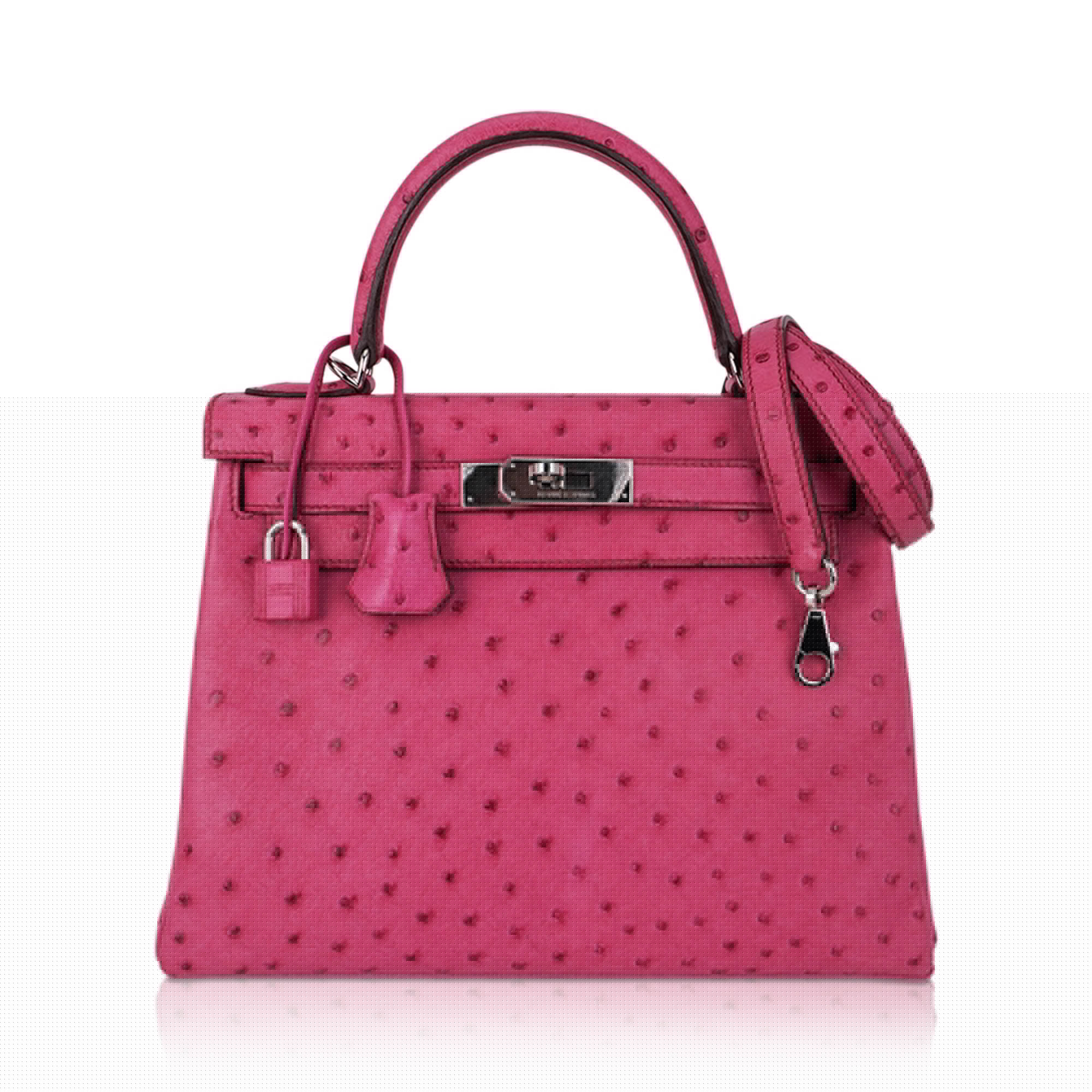 Kelly 25 Retourne Bag Fuchsia Ostrich with Palladium Hardware