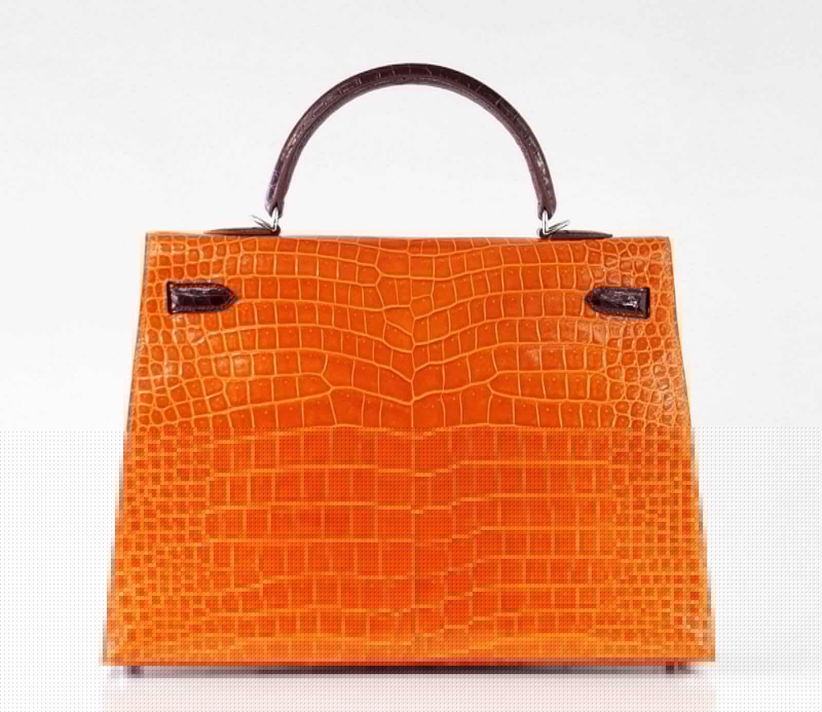 Kelly 35 Bag Tri Color Horseshoe Porosus Crocodile Palladium