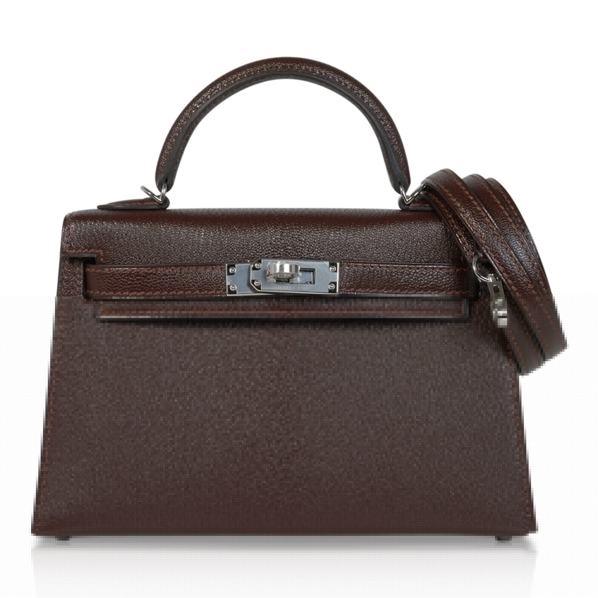 Kelly 20 Bi-Color Mini Sellier Bag Havane / Etrusque Chevre Palladium