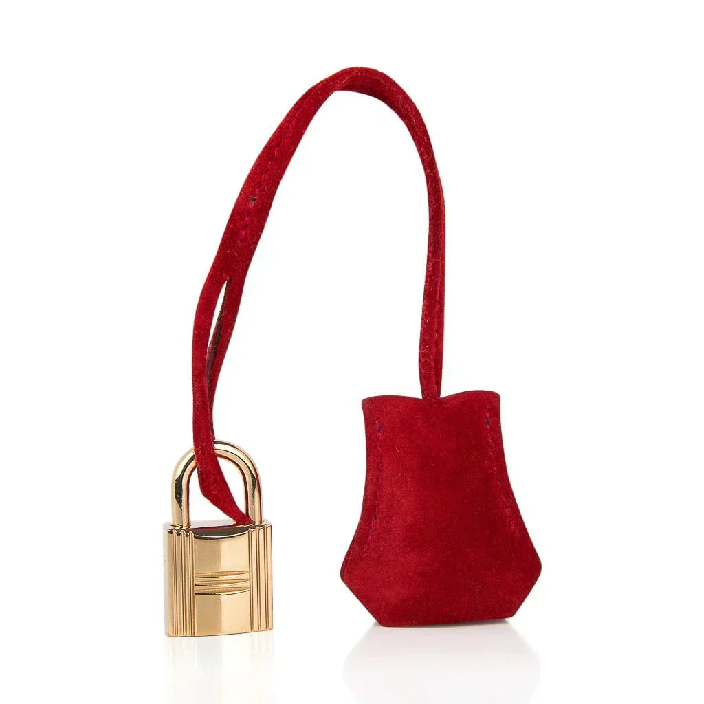 Birkin 25 Doblis Bag Rouge Vif Suede Gold Hardware