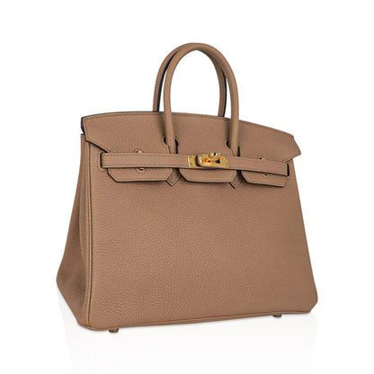 Birkin 25 Bag in Chai Togo Leather with Gold Hardware